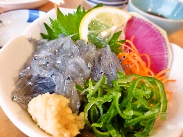 旬の生シラス