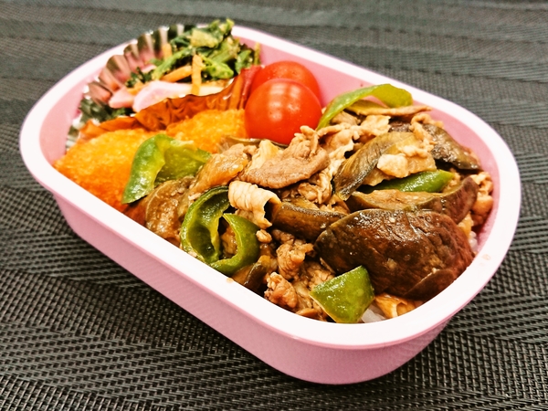 今日の愛妻弁当♪180604