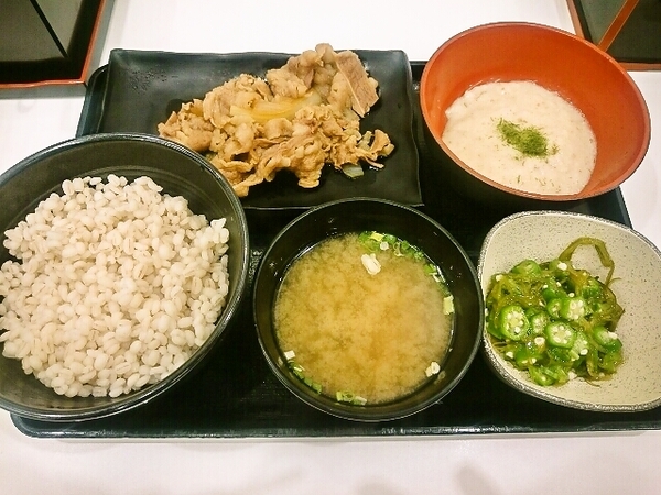 麦とろ牛皿御膳(吉野家)