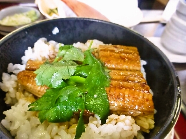 小丼のうなどん