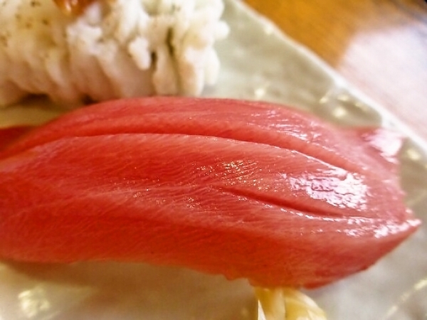 本マグロの中トロ握り