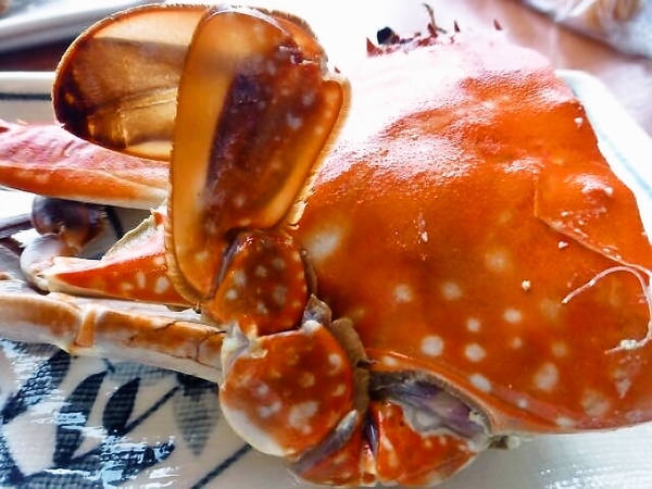 茹で半ワタリガニでも身はいっぱい！！