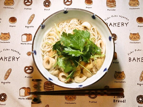 油揚げとちくわのかけうどん