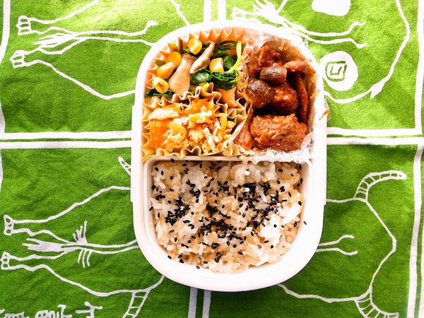 煮込みハンバーグ弁当
