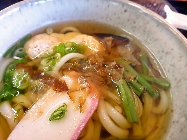 たまには素朴なうどんもイイネ