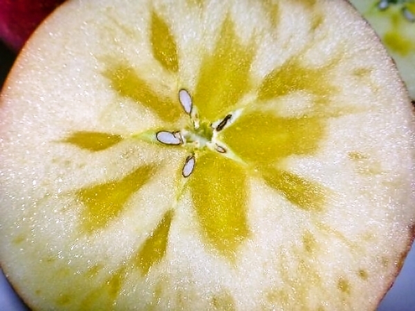 サンふじの蜜