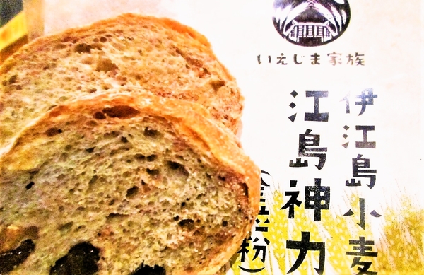 伊江島産全粒粉小麦のパン・オウ・ノア