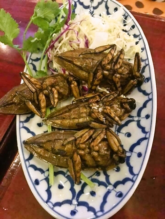 2018-12-23 15:37:45 に投稿された料理写真