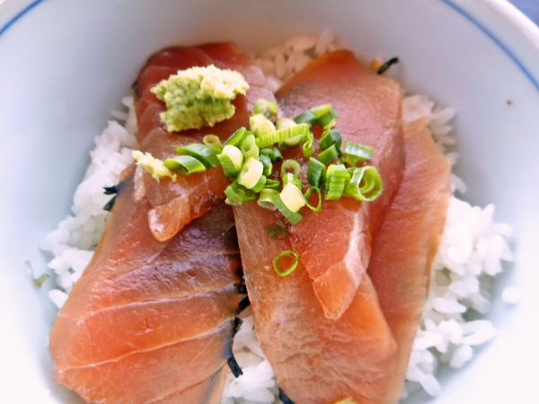 静岡のマグロ着丼