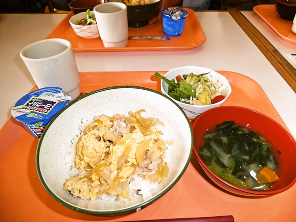本日の定食