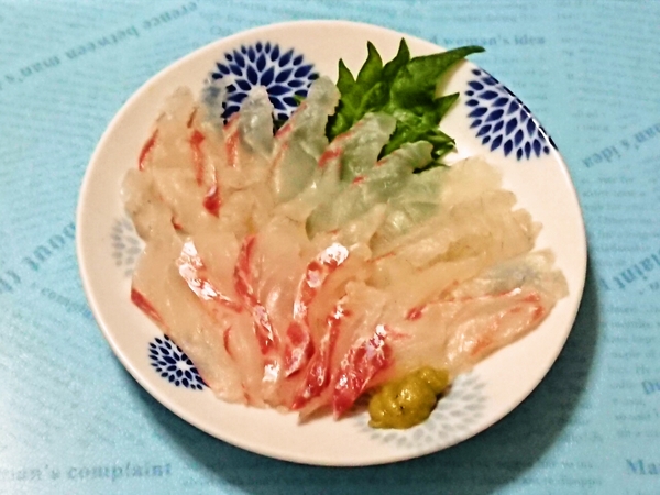 マダイのお刺身(自家製)