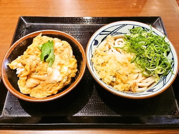 親子丼(小)と冷やしぶっかけうどん