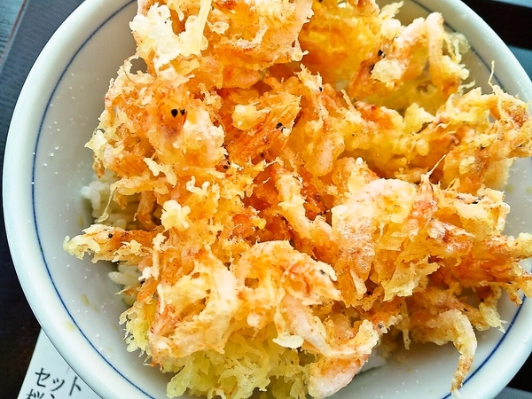 桜海老のかき揚げ丼