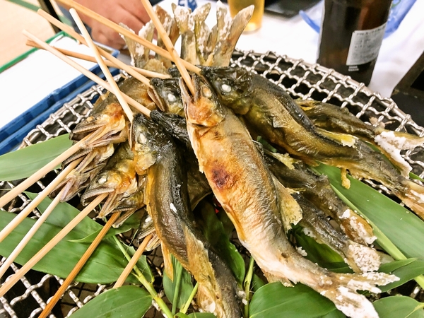 鮎-あつぎ飯山温泉　元湯旅館