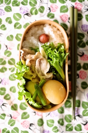 肉じゃが弁当