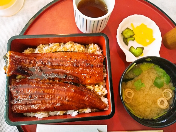 夏バテ防止！