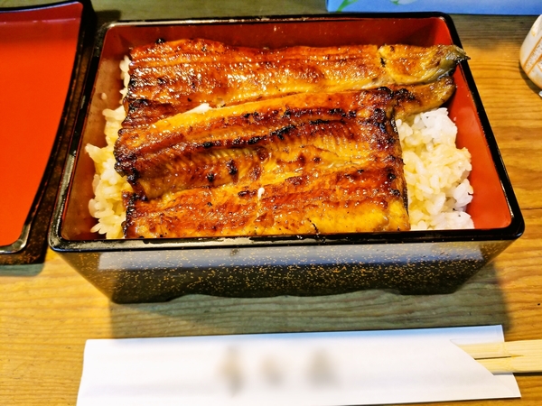 特上うな重