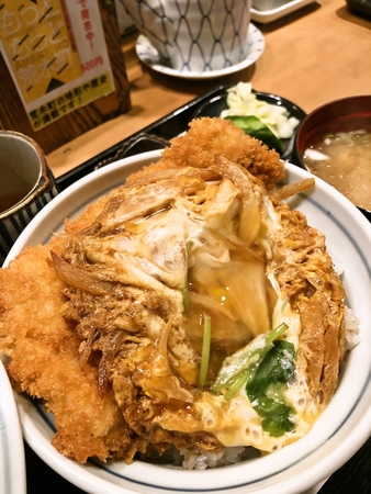 かけかつ丼