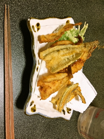 去年のハゼ釣り