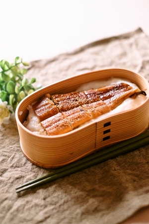 鰻の蒲焼弁当