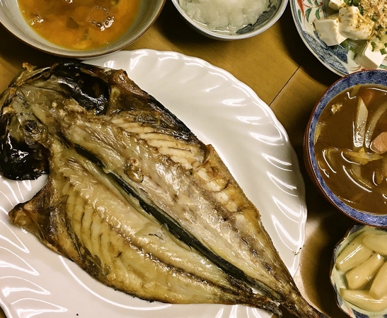 瀬つき鯵