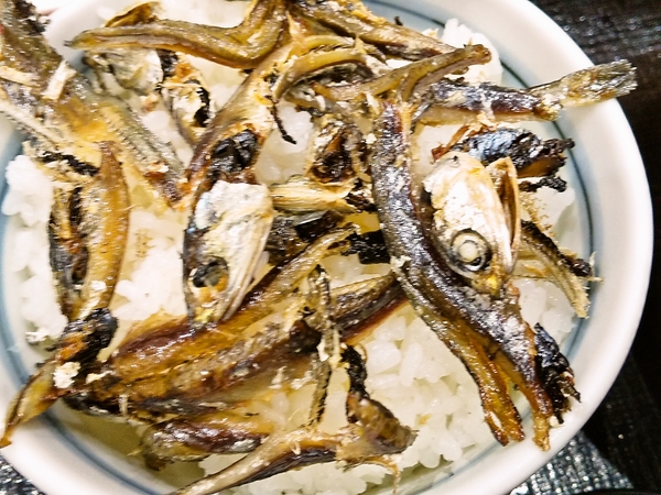 いりこご飯
