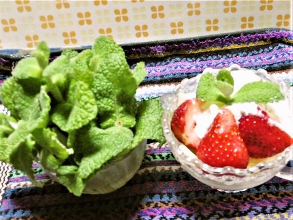 自粛料理3