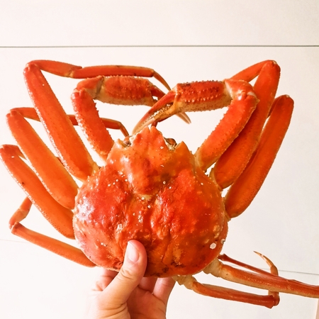보장한다!   맛있다 !   싸다 !