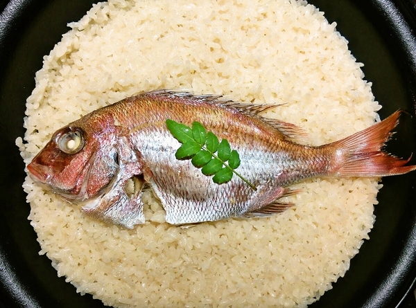 鯛飯