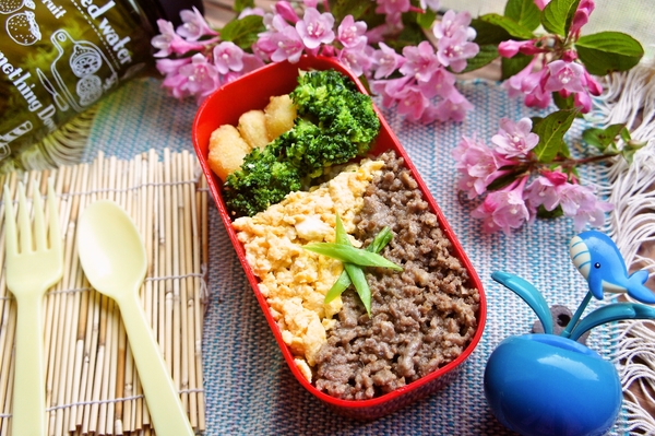 「レンジだけでそぼろ弁当」de長男のお弁当
