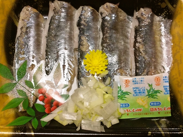 アジ刺し♪