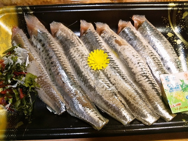 入梅イワシの3枚おろし