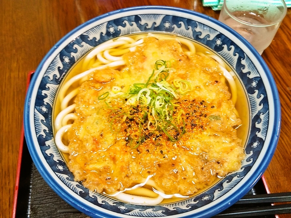 ジャンボかき揚げうどん