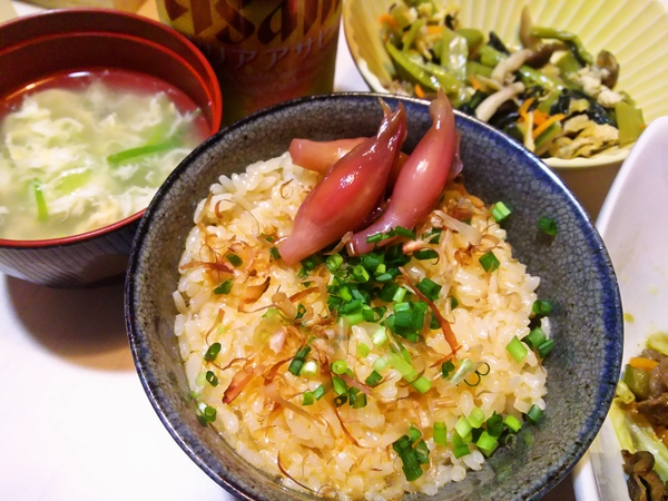 まぜ庄内飯 550円。