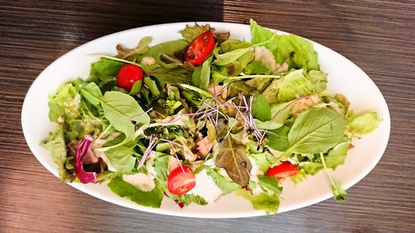 ベビフェのガーデンサラダ（レギュラー）