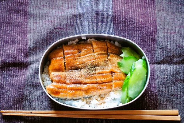 鰻弁当