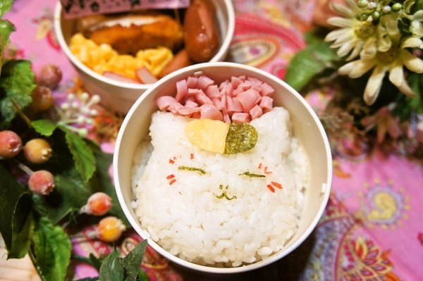 この表情に癒される♪おにぎりde可愛いニャンコ先生