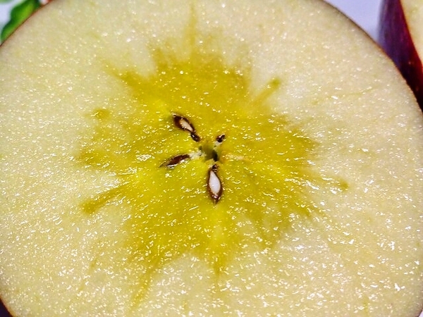 リンゴの蜜がみずみずしい～