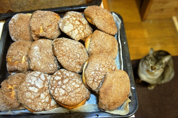 熱い熱い目線が。。。と筋肉痛と戦いながらのパン作り