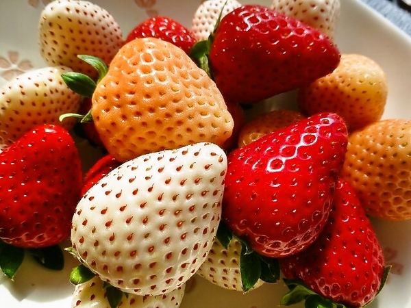 奈良県の３色いちご♪