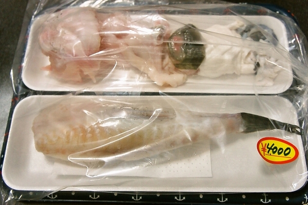 身欠きのトラフグ