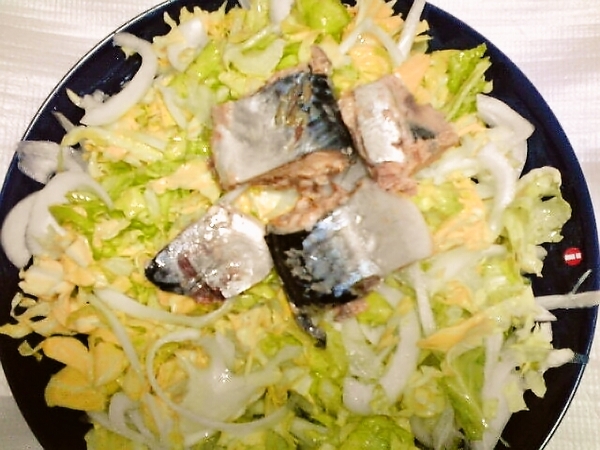 春キャベツと新玉ネギと鯖缶サラダ