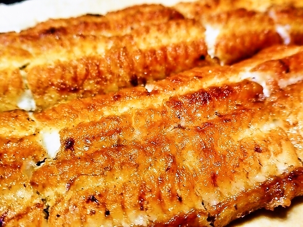 うなぎの白焼き