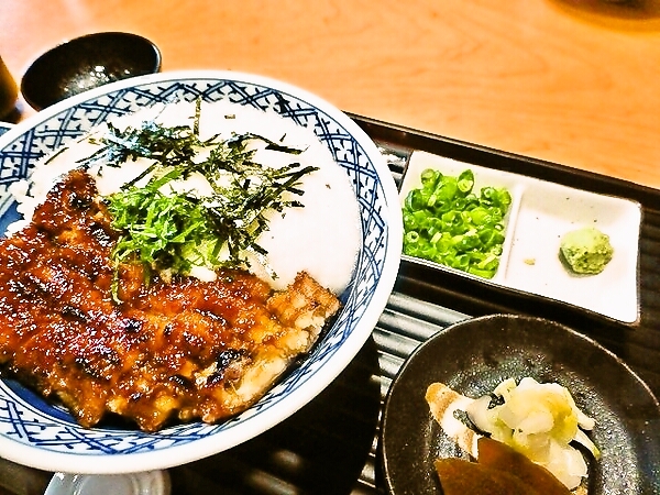 うなトロ丼（うなぎの蒲焼きとトロロ）