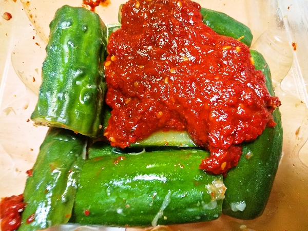 ヤンニャムオイキムチ