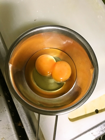 有精卵の双子ちゃん