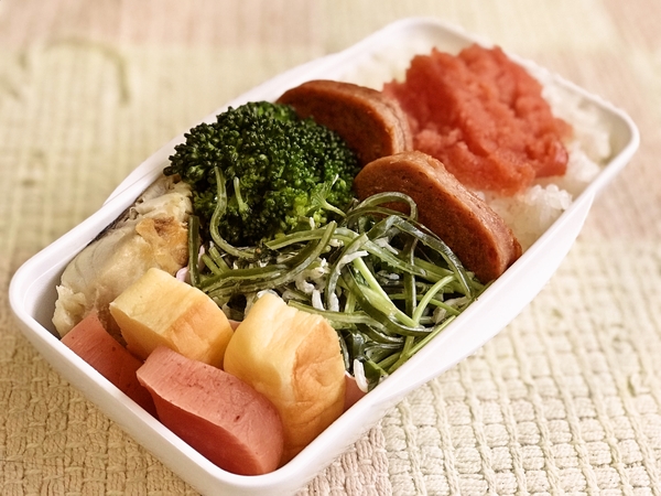 今日のお弁当