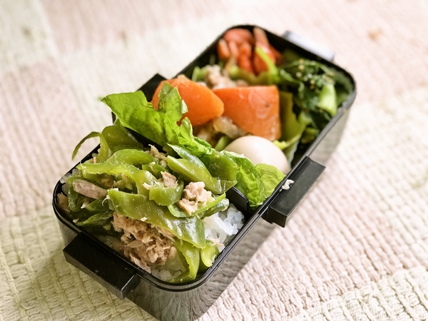 今日のお弁当