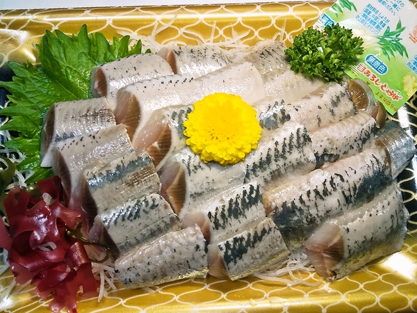 入梅イワシ