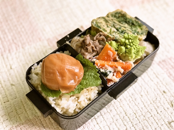 今日のお弁当
